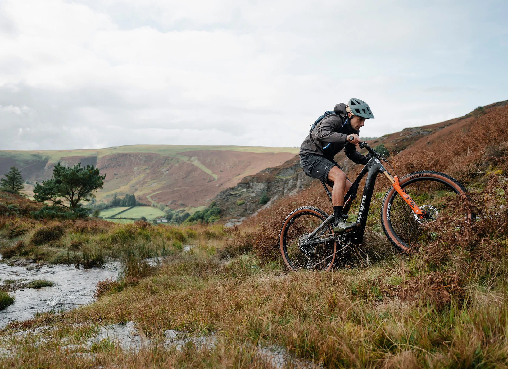 Welcome to Our Store